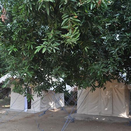 Uma Shankar Hampi Εξωτερικό φωτογραφία